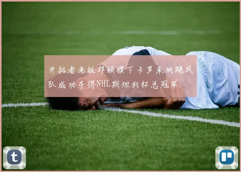 开拓者老板邓顿旗下卡罗来纳飓风队成功夺得NHL斯坦利杯总冠军