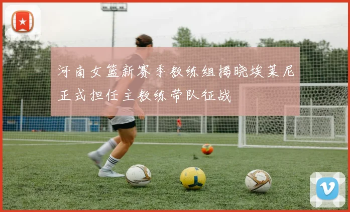 河南女篮新赛季教练组揭晓埃莱尼正式担任主教练带队征战